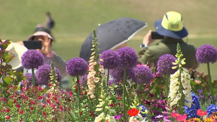 남도는 축제 열기로 후끈...오늘 순천 정원박람회 18세 미만 무료 / YTN