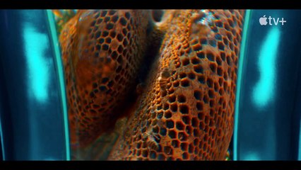 'Jane' - Tráiler oficial - AppleTV+