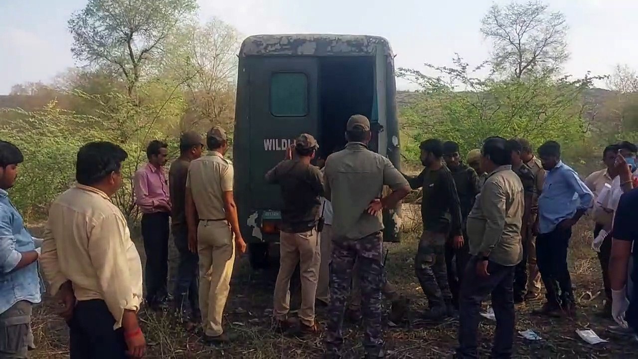 Tiger death in Tiger reserve : मुकुंदरा हिल्स ट...