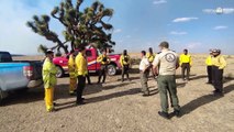 Suman seis días de trabajo y más de tres mil hectáreas afectadas por incendio forestal en Ojuelos