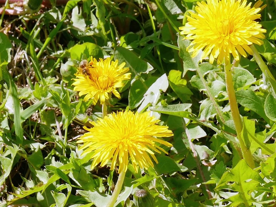 Way Out - ma première fois dans les Alpes