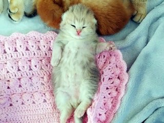 Aww  Sweet Little baby belly