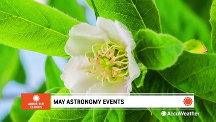 What to look for in the night sky this May