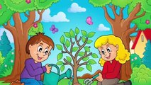 A Handsome Boy Story _ Cartoon Story in English _ Cartoon Story Book in English