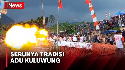 Dentuman Meriam Menggema dalam Tradisi Adu Kuluwung di Bogor