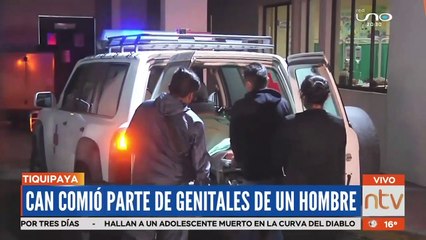 Un can se comió parte de los genitales de una persona con discapacidad