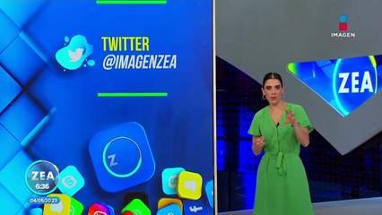 Perrito caminó por 27 días en búsqueda de sus antiguos dueños