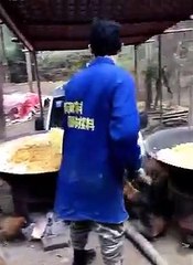 Wow! Such a wonderful chicken farm