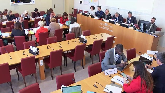 Commission des affaires étrangères : Programmation militaire pour les années 2024 à 2030 portant diverses dispositions intéressant la défense - Mercredi 3 mai 2023