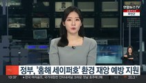 정부, '홍해 세이퍼호' 환경재앙 예방 지원