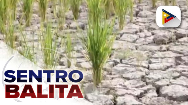 Mga polisiya at intervention sa pagtugon ng LGUs sa El Niño, nakalatag na ayon sa Union of Local...