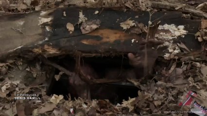 Law and Order SVU S24E21 Bad Things