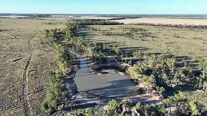 Gideon, Jackson-Condamine, Qld - May 5, 2023 - Farmonline