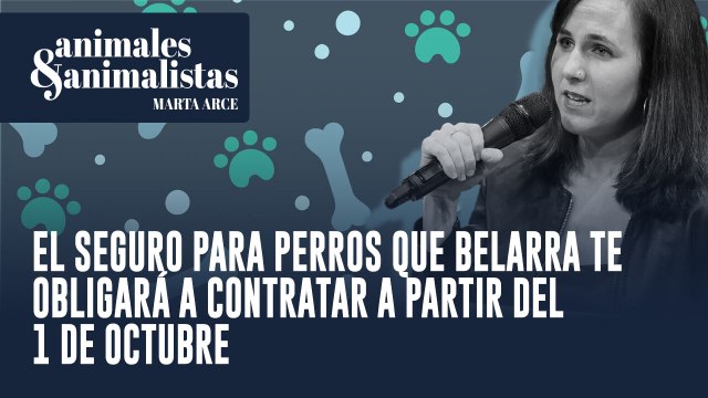Todo lo que debes saber sobre el seguro para perros obligatorio a partir de octubre