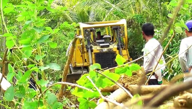 The Role of Heavy Equipment in Forest Management on the Road Bulldozer D6R XL