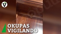 Así vigilan los okupas las mudanzas: pegatinas y marcas en las puertas