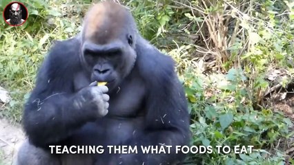 How To Get Girls _ 3 RULES  (MUST KNOW)