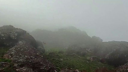 ️COLD ❄️ CLIMATE @ VELLIYANGIRI HILLS
