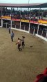 Ativista anti-touradas retirada de praça de touros por politico espanhol