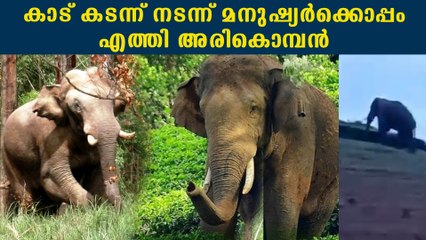 മക്കളെ ഞാൻ കേരളത്തിൽ എത്തി കേട്ടോ!!  Arikomban Return