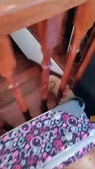 Puppy Takes A Tumble Down Stairs