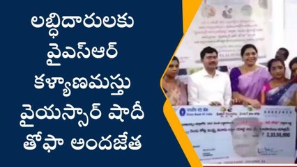 విశాఖపట్నం: జిల్లాలోని 383 మంది లబ్ధిదారుల ఖాతాల్లో నగదు జమ - జిల్లా కలెక్టర్