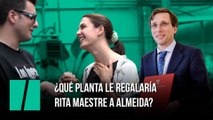 ¿Qué planta le regalaría Rita Maestre a Almeida? Su respuesta parece una maldad, pero tiene una explicación