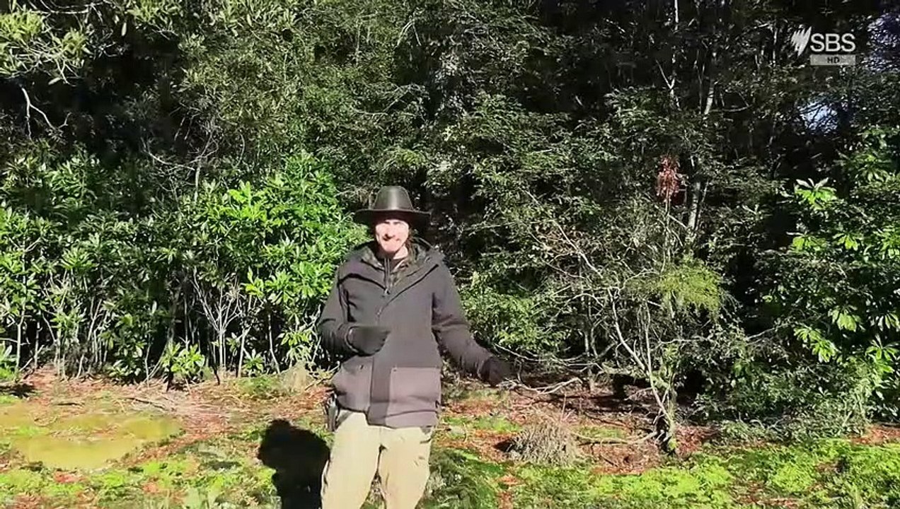 Alone Australia S01E07
