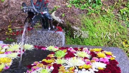 See Japanese autumn leaves at Mt. Kowata Okitsushima Shrine in Fukushima(福島の木幡山の隠津島神社で紅葉狩り) - Natural garden