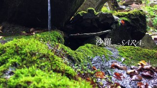 Nature hike with Mount Kamakura, Fukushima Japan(福島の鎌倉岳を見ながら山散歩) - Natural garden