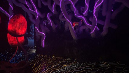 Wake the Tiger: bristol immersive art museum, why is it so unique?