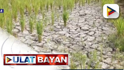 LGUs, nakahanda na para tugunan ang maaaring epekto ng El Niño  at iba pang kalamidad