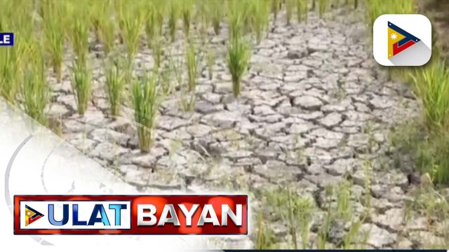 LGUs, nakahanda na para tugunan ang maaaring epekto ng El Niño at iba pang kalamidad