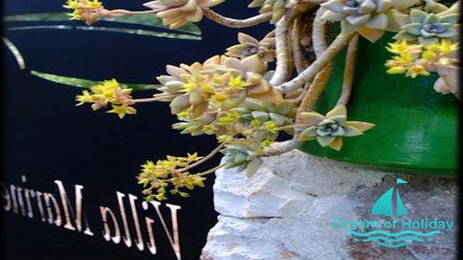 Villa Marine - Antalya, Kaş'ta Kiralık Villa | Dreamofholiday.com