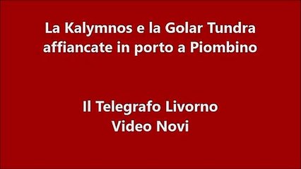 Le due navi gasiere affiancate a Piombino (Video Novi)