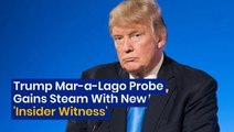 Donald Trump Mar-A-Lago Probe: 'Insider Witness' To Reportedly Spill The Beans Against Ex-President