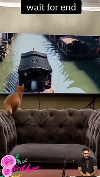 #today  #papular #viral #video #funny #001 #youtubeshorts #ytshorts #shorts #shortvideo #tranding 05 (1)