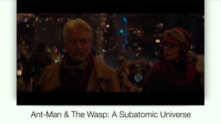 Ant-Man & The Wasp: A Subatomic Universe