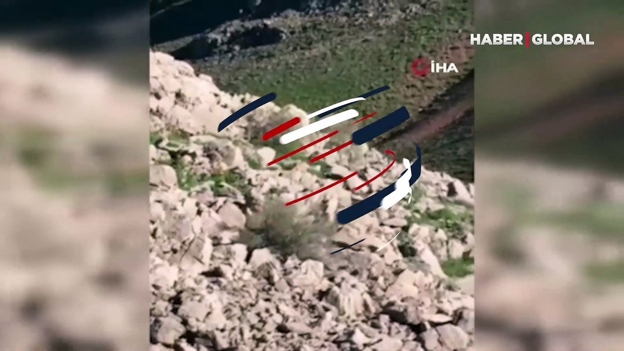 Cep telefonu kamerasıyla görüntülendi! Kırmızı listede yer alıyor, nesli tükenme tehlikesiyle karşı karşıya