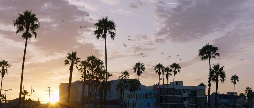 Bobcat Moretti Bande-annonce VO