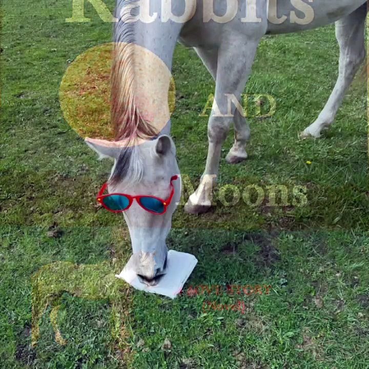Horsetalk