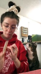 Find Someone Who Looks At You The Way Milo Looks At His Mama