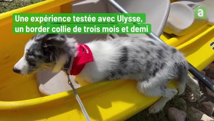 Remise à l'eau pour les kayaks Les Remous