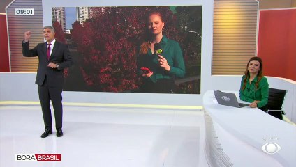 Paisagem vermelha chama atenção em Curitiba 05/05/2023 11:36:45