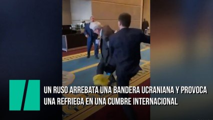 Un ruso arrebata una bandera ucraniana y provoca una refriega en una cumbre internacional