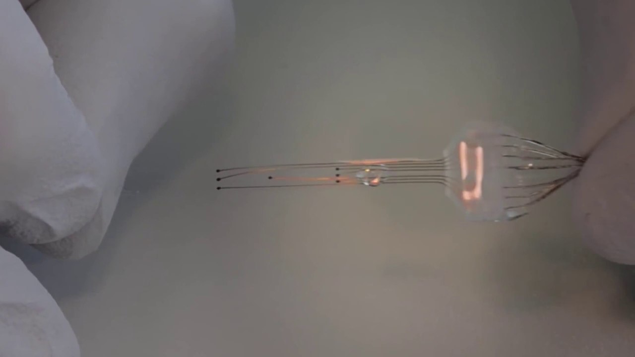 Implantul neuronal e-Dura restabileste mersul