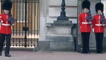 Buckingham Palace guard slips and falls in front of hundreds of tourists