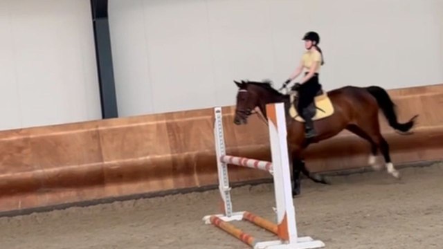 Rider falls alongside horse when trying to jump over a fence *Epic Fail*