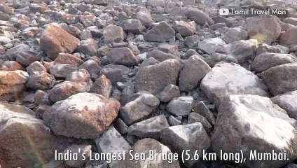 Bandra Worli Sea Link