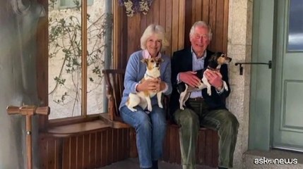 A Buckingham Palace finisce l'era Corgi, inizia quella dei Jack Russell